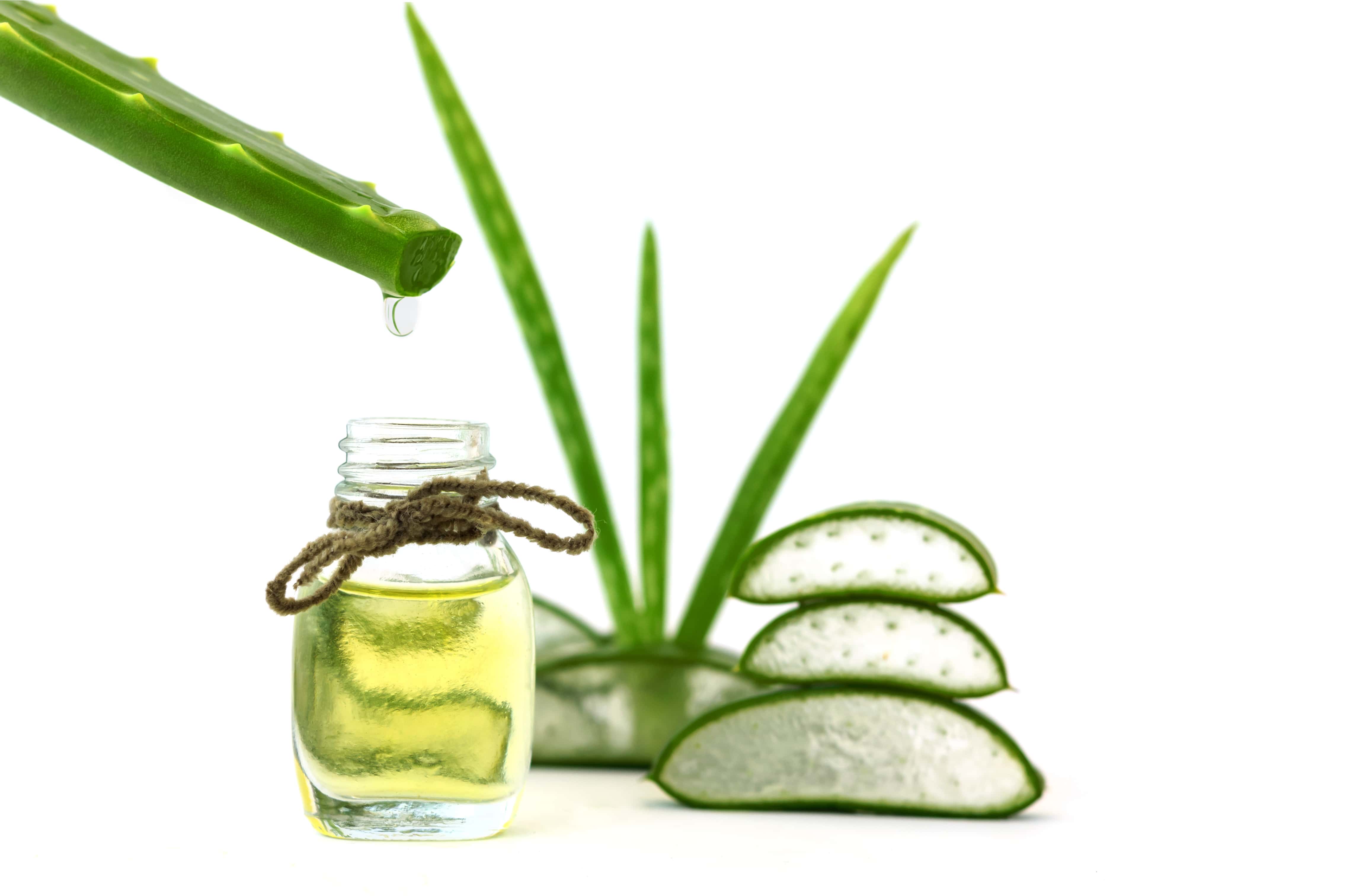 hair mask with aloe vera gel Aloe Vera & Coconut Oil Full Haircare Set main image 0